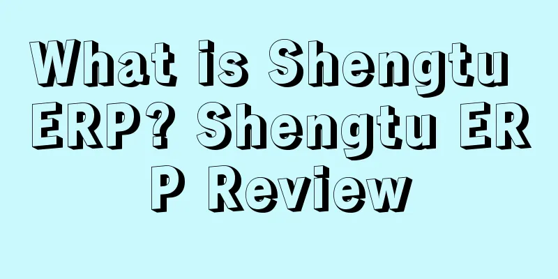 What is Shengtu ERP? Shengtu ERP Review
