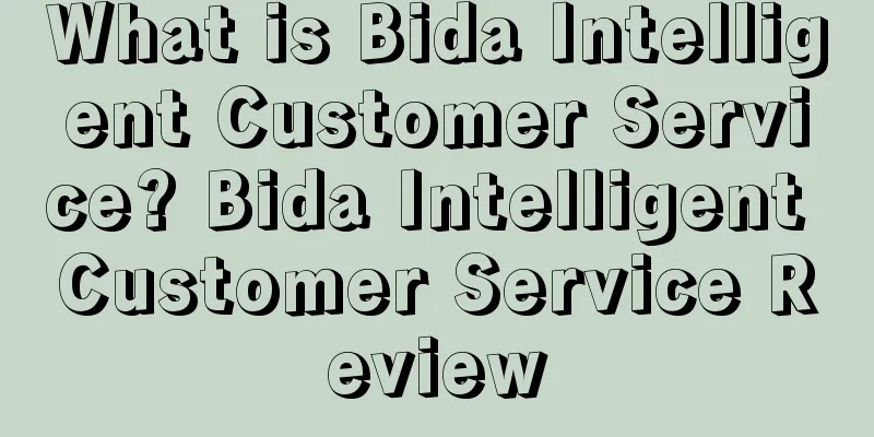 What is Bida Intelligent Customer Service? Bida Intelligent Customer Service Review