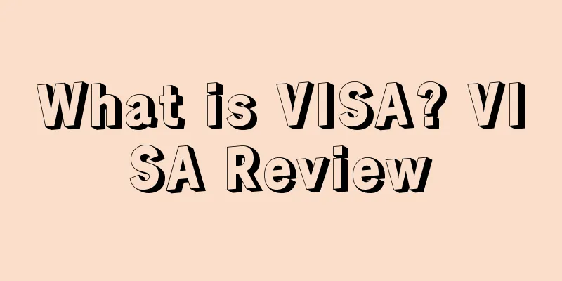 What is VISA? VISA Review