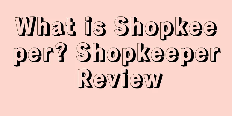 What is Shopkeeper? Shopkeeper Review