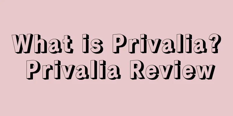 What is Privalia? Privalia Review