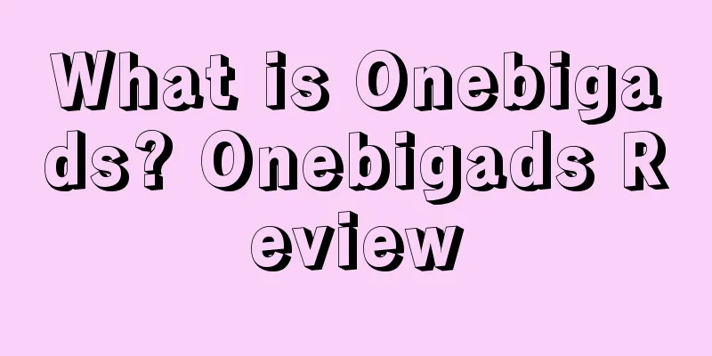 What is Onebigads? Onebigads Review
