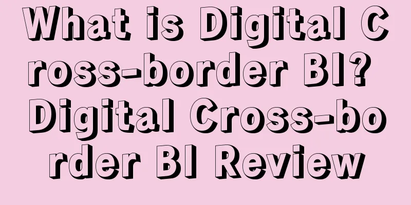 What is Digital Cross-border BI? Digital Cross-border BI Review