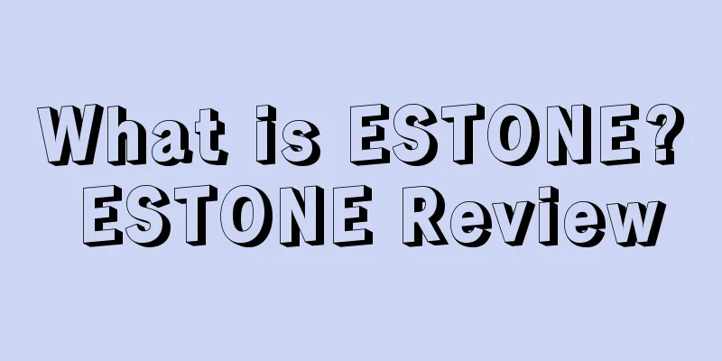 What is ESTONE? ESTONE Review
