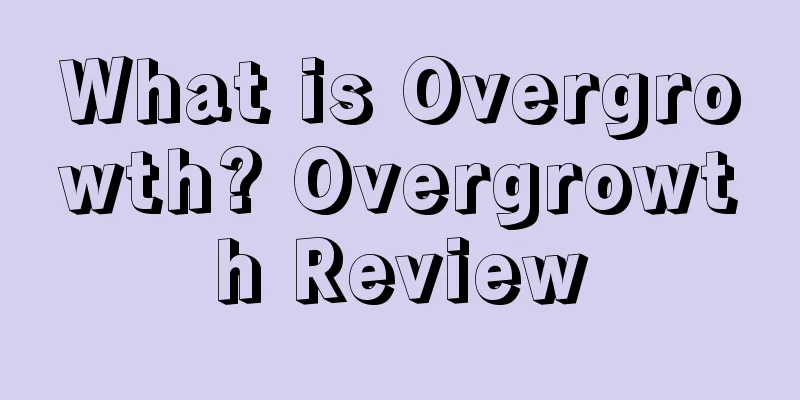 What is Overgrowth? Overgrowth Review