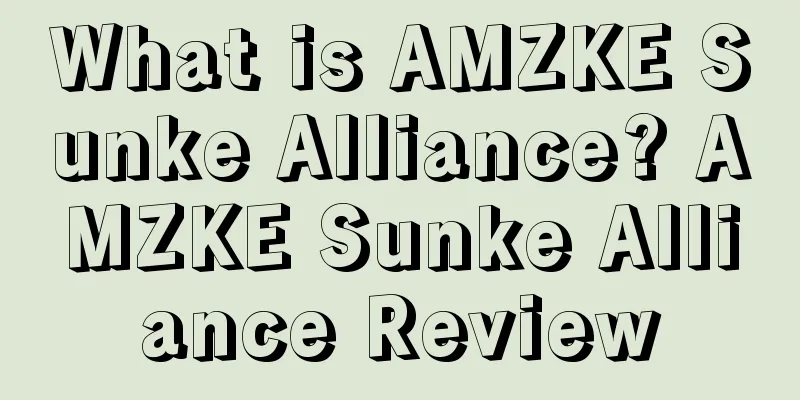 What is AMZKE Sunke Alliance? AMZKE Sunke Alliance Review