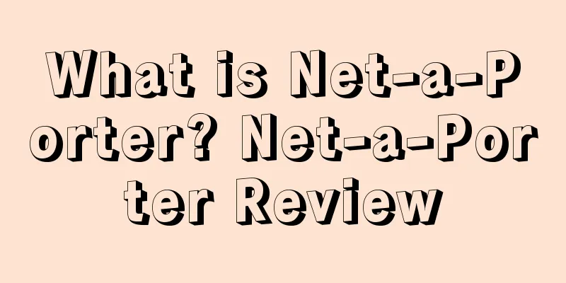 What is Net-a-Porter? Net-a-Porter Review