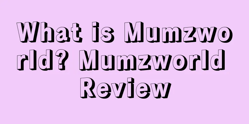 What is Mumzworld? Mumzworld Review