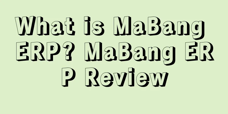 What is MaBang ERP? MaBang ERP Review