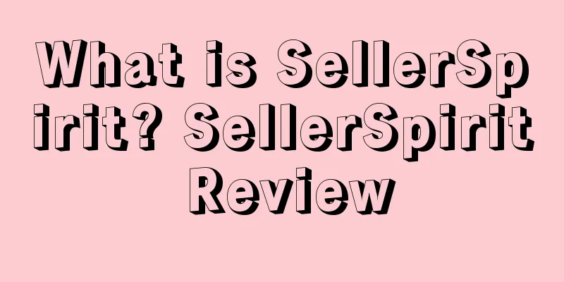 What is SellerSpirit? SellerSpirit Review