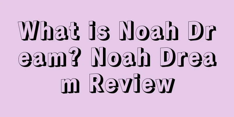 What is Noah Dream? Noah Dream Review