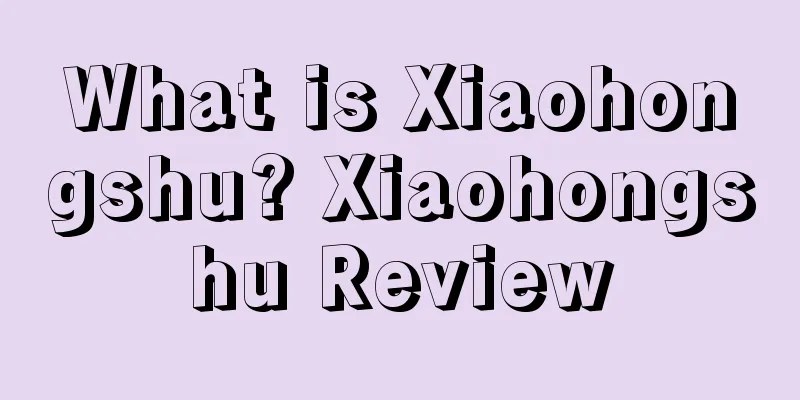 What is Xiaohongshu? Xiaohongshu Review