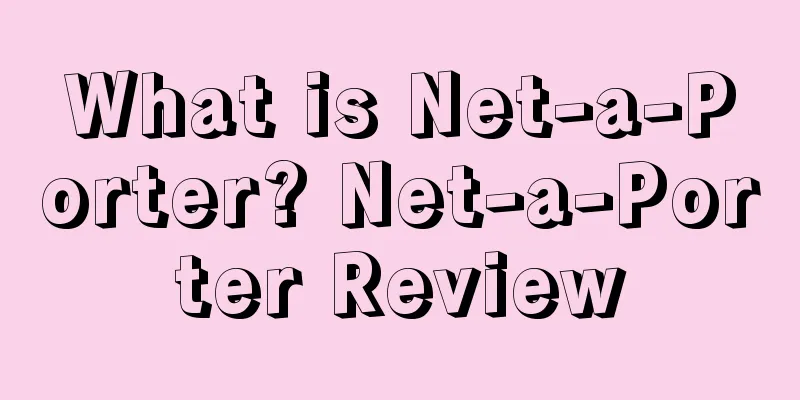What is Net-a-Porter? Net-a-Porter Review