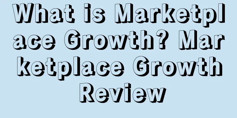 What is Marketplace Growth? Marketplace Growth Review