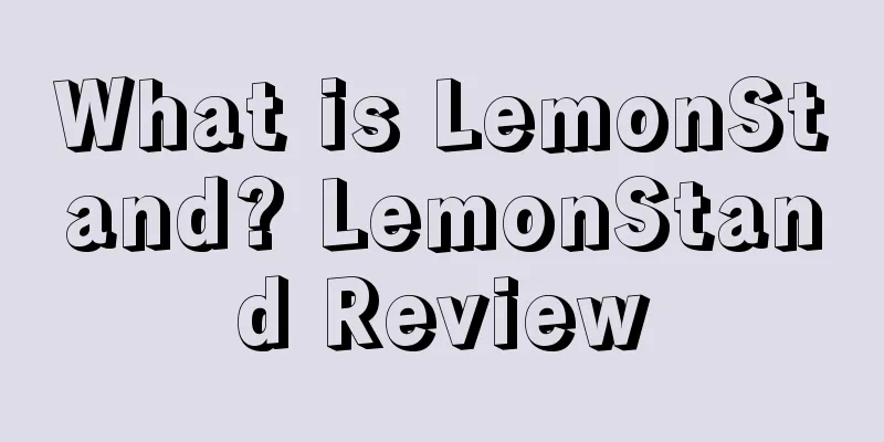 What is LemonStand? LemonStand Review