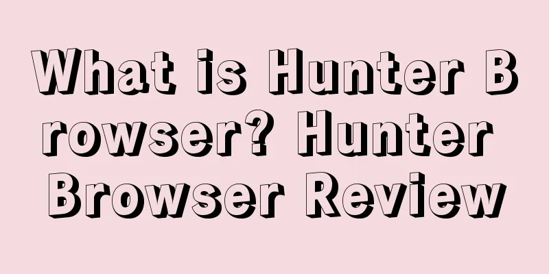 What is Hunter Browser? Hunter Browser Review