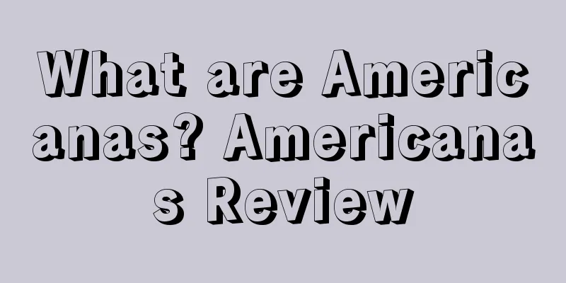 What are Americanas? Americanas Review