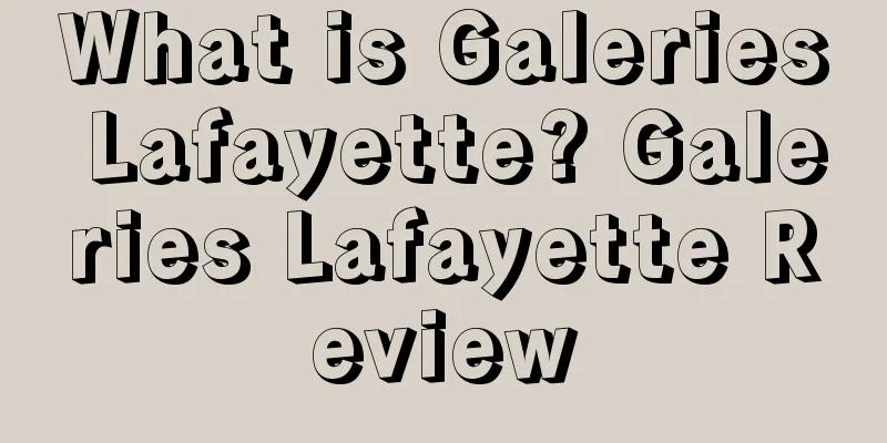 What is Galeries Lafayette? Galeries Lafayette Review