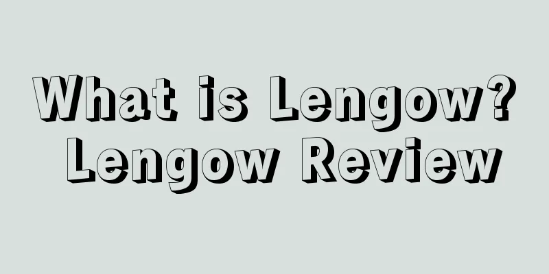 What is Lengow? Lengow Review