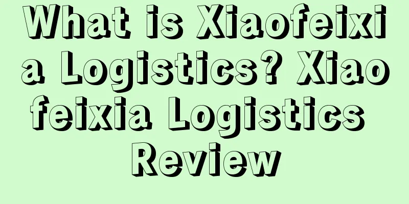 What is Xiaofeixia Logistics? Xiaofeixia Logistics Review
