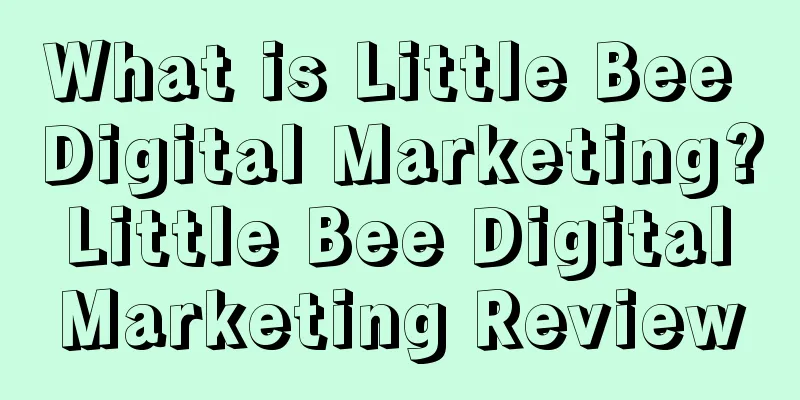 What is Little Bee Digital Marketing? Little Bee Digital Marketing Review