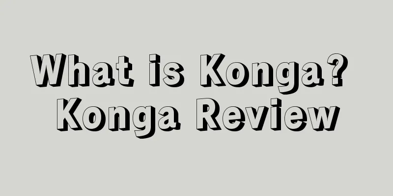 What is Konga? Konga Review
