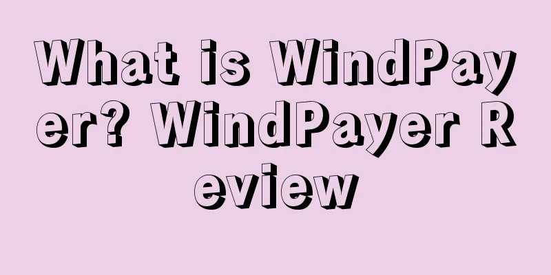 What is WindPayer? WindPayer Review