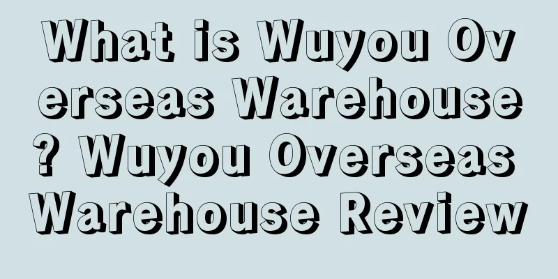 What is Wuyou Overseas Warehouse? Wuyou Overseas Warehouse Review