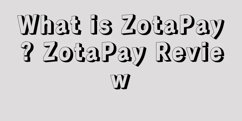 What is ZotaPay? ZotaPay Review