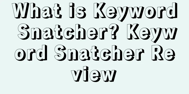 What is Keyword Snatcher? Keyword Snatcher Review