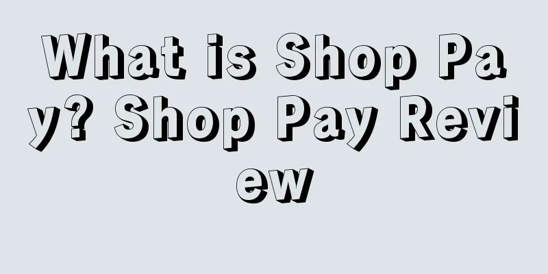 What is Shop Pay? Shop Pay Review