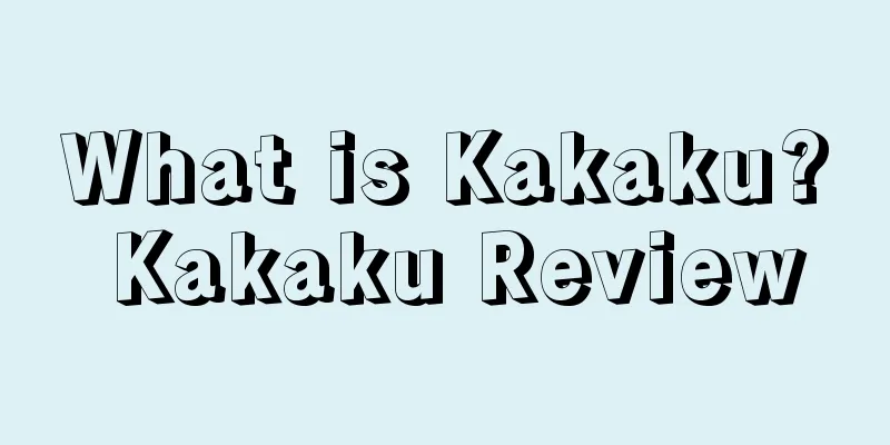 What is Kakaku? Kakaku Review