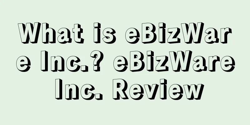 What is eBizWare Inc.? eBizWare Inc. Review