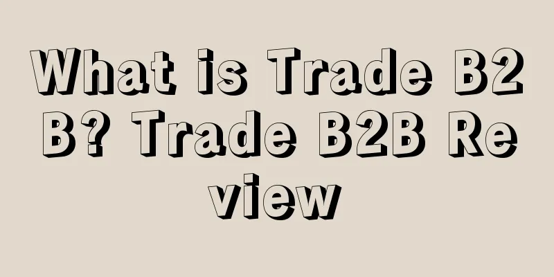 What is Trade B2B? Trade B2B Review