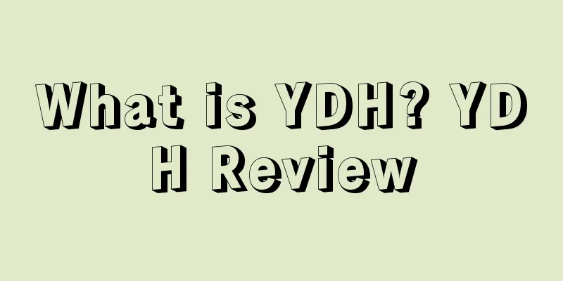 What is YDH? YDH Review
