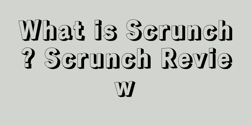 What is Scrunch? Scrunch Review