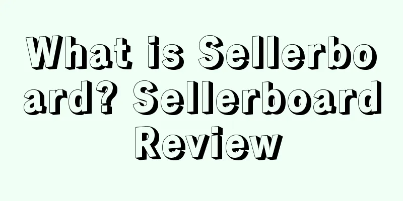 What is Sellerboard? Sellerboard Review