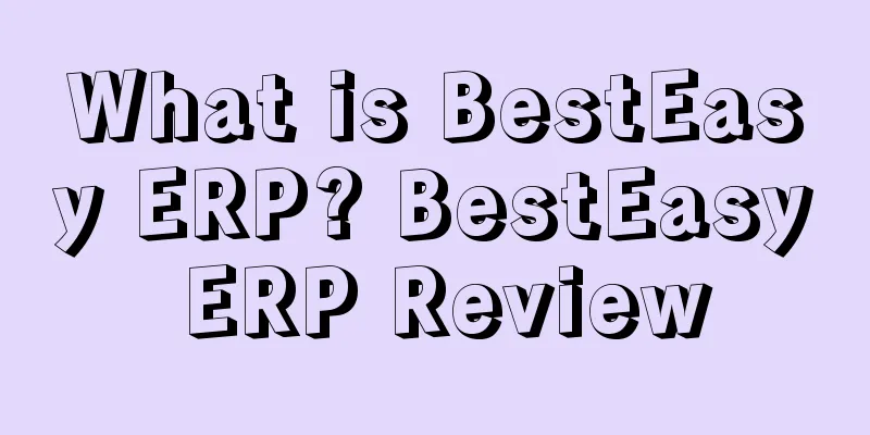 What is BestEasy ERP? BestEasy ERP Review
