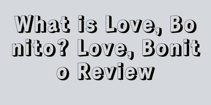 What is Love, Bonito? Love, Bonito Review