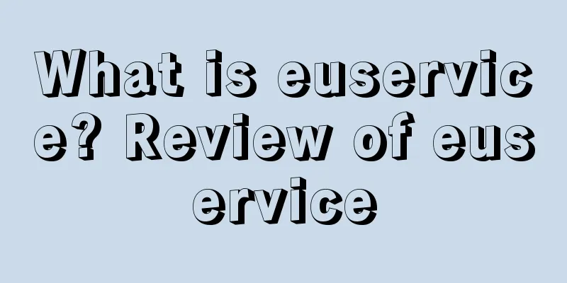 What is euservice? Review of euservice