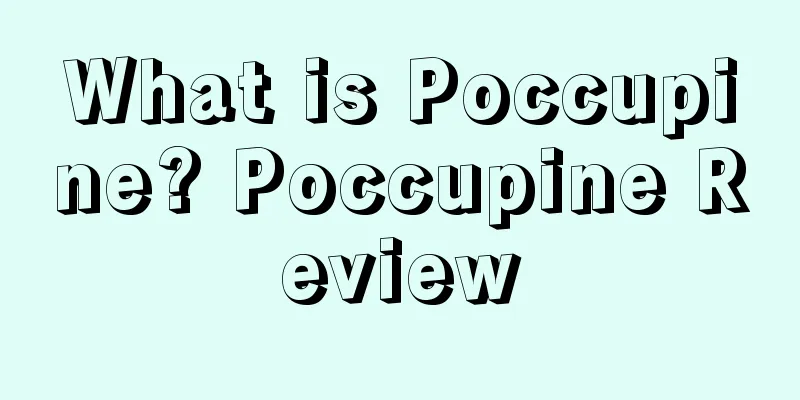 What is Poccupine? Poccupine Review