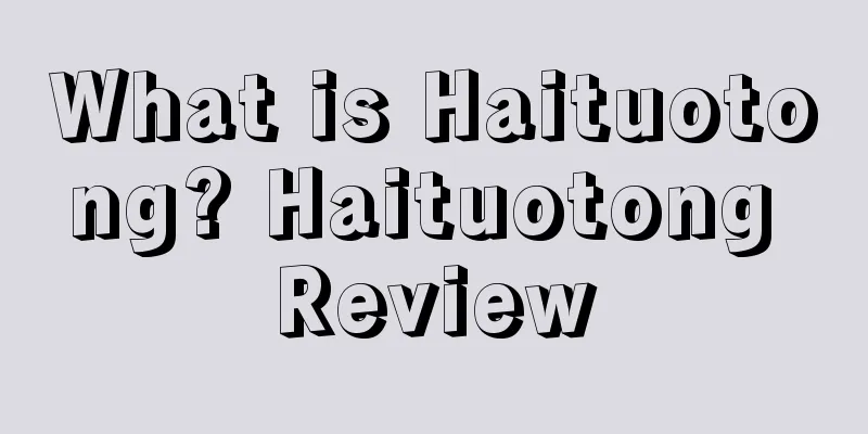 What is Haituotong? Haituotong Review