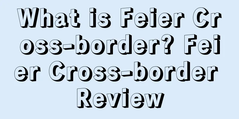 What is Feier Cross-border? Feier Cross-border Review