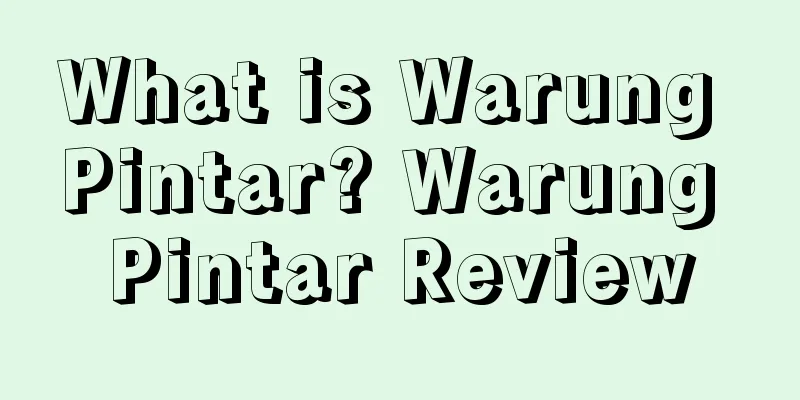 What is Warung Pintar? Warung Pintar Review