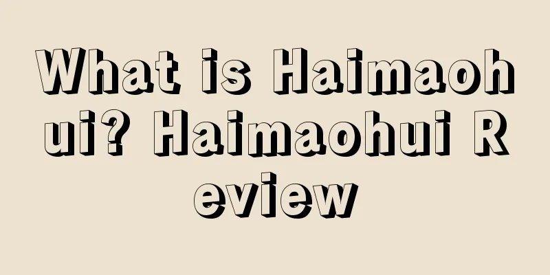 What is Haimaohui? Haimaohui Review
