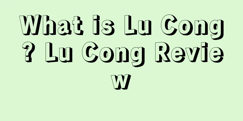 What is Lu Cong? Lu Cong Review