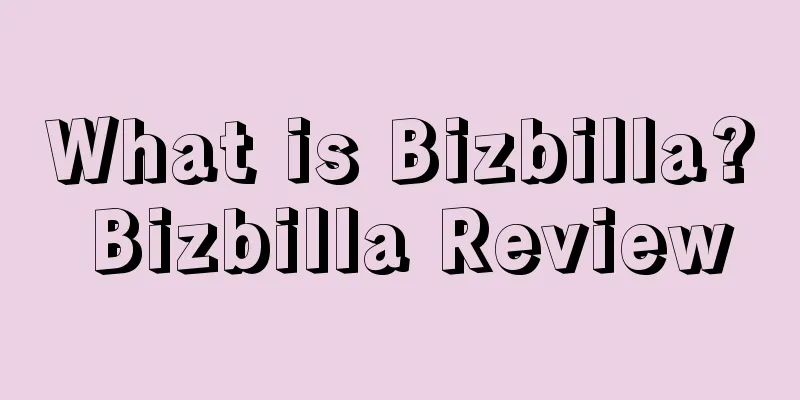 What is Bizbilla? Bizbilla Review