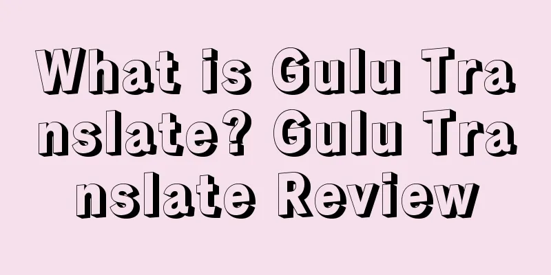 What is Gulu Translate? Gulu Translate Review