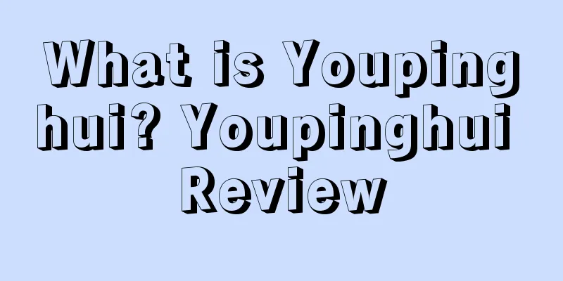 What is Youpinghui? Youpinghui Review