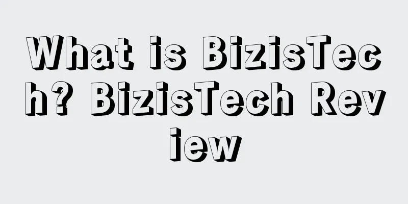 What is BizisTech? BizisTech Review